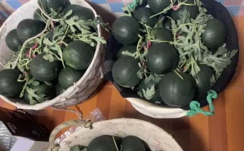 新鲜热门大瓜,揭秘明星背后的惊人真相！