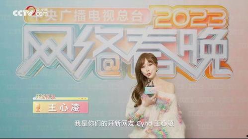 央视主持联手明星网红,跨界合作打造全新娱乐盛宴