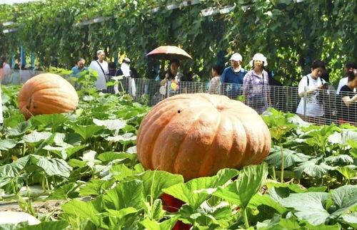 年度热门大瓜,2023年度娱乐圈十大热门大瓜盘点