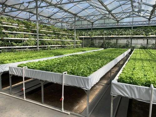 51每日必吃大瓜热门top1,揭秘热门话题榜首风云