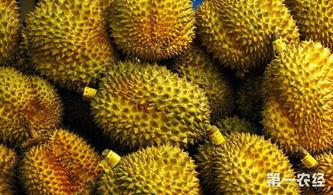 万邦今日瓜价,新鲜资讯一览