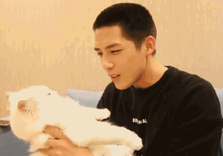 吃瓜爆料宋祖儿王安宇,吃瓜群众热议不已