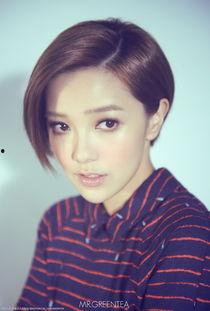 明星网红为啥不交税,背后的税务策略与挑战