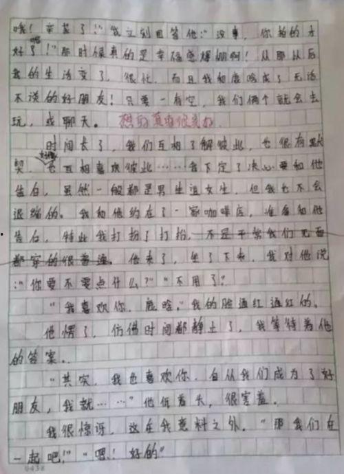 明星网红作文素材人物,闪耀时代的网络偶像