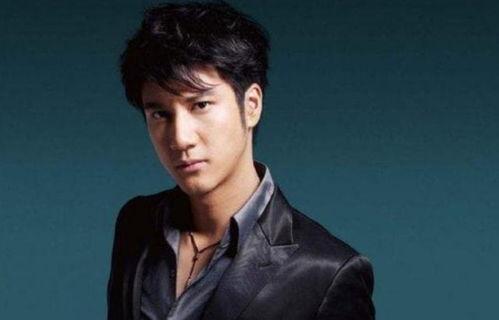 娱乐圈吃瓜王力宏是谁,揭秘明星圈层背后的八卦风云