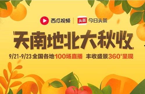 长春今日头条卖瓜,街头卖瓜，夏日炎炎里的清凉小确幸