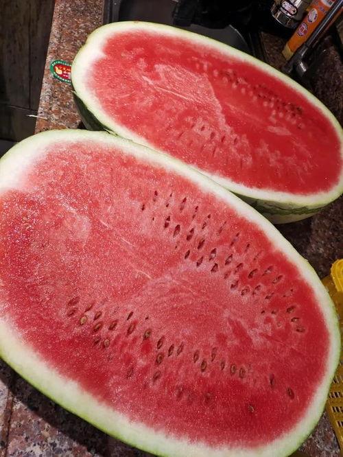 厚皮绿瓜今日价格