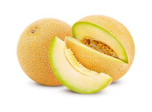 深圳哈密瓜今日价格,价格行情一览