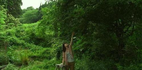 辽宁理工热门吃瓜小树林,校园生活趣闻录