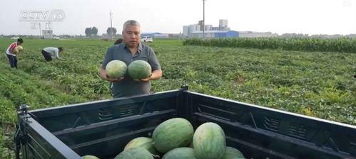 福建近期热门吃瓜事件新闻,近期热门吃瓜事件盘点