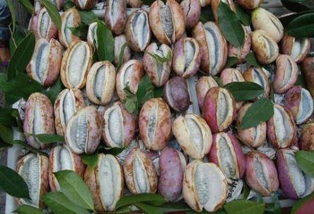 同城热门八月瓜在线观看,同城热映，精彩不容错过