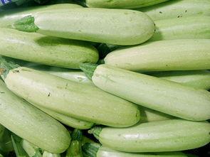 云南今日小瓜价格多少,实惠之选，市民抢购热潮