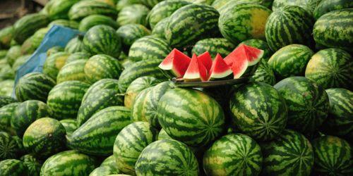 摘瓜扭瓜的热门音乐有哪些,盘点热门歌曲及魅力解析