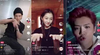 明星网红堵门视频播放,揭秘明星网红幕后互动瞬间