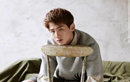 娱乐圈理性吃瓜白敬亭,娱乐圈理性吃瓜者的智慧与坚守