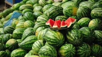 沈阳吃瓜爆料事件真相揭秘