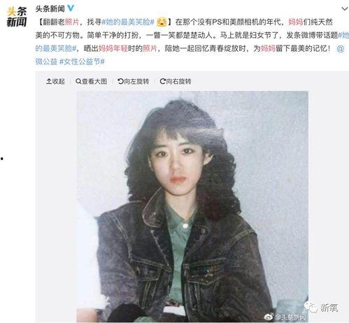 明星网红黑历史网站,真相与反思