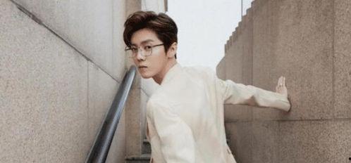 娱乐圈吃瓜李宏毅是谁,揭秘他的明星之路