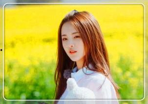 明星网红用什么拍照,揭秘他们使用的拍照神器