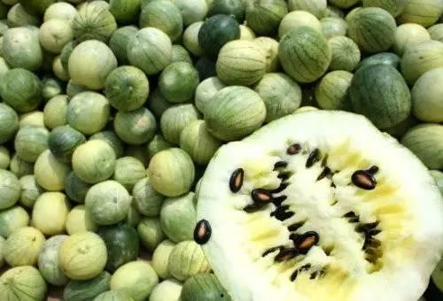 什么瓜带黑籽儿吃,揭秘带黑籽儿瓜果的独特魅力