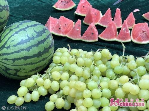 热门吃瓜在线,热门吃瓜在线，揭秘娱乐圈幕后风云