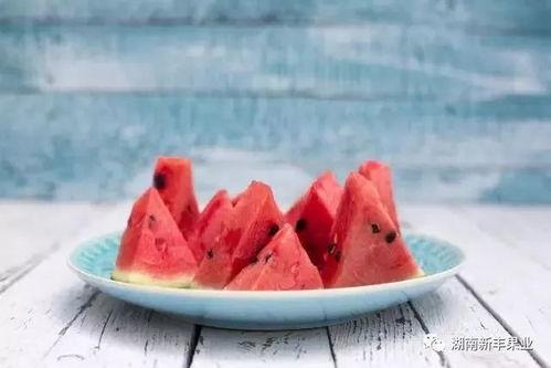 今日立秋吃肉咬瓜,肉香瓜脆，尽享丰收美味