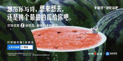 今日吃瓜大桌文案,盘点娱乐圈最新热点事件