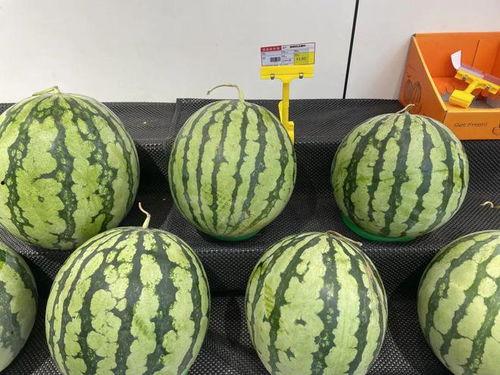 今日麒麟瓜价格最新报价,最新报价揭示市场动态