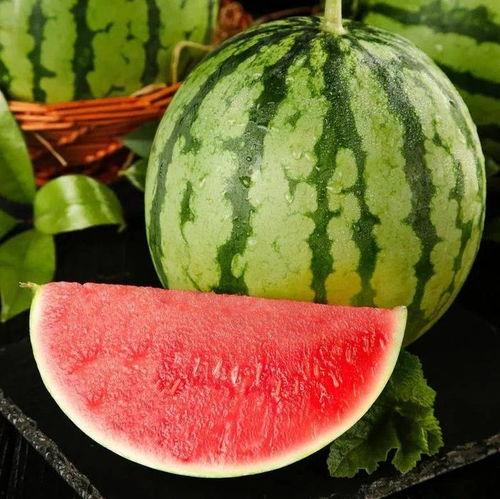 热门瓜网,揭秘娱乐圈最新热点，带你领略明星幕后故事