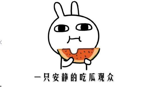 抖音吃瓜黑料,揭秘网红背后的真相