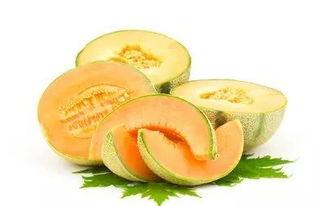 今日宜春哈密瓜价格,价格行情一览