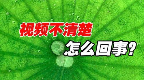 抖音热门瓜有嘛,揭秘网络热议背后的真相