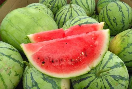 51热门今日大瓜最新更新,最新爆料，揭秘娱乐圈风云变幻！