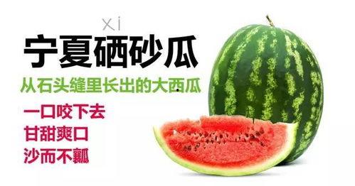 西瓜西砂瓜今日达,夏日炎炎，尽享清凉美味