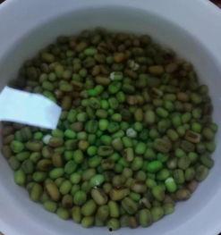 绿豆和黑蜜瓜一起吃吗