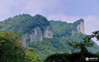 黑木崖吃瓜,揭秘神秘组织内部吃瓜盛况