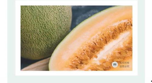 海南蜜瓜今日什么价,价格行情一览