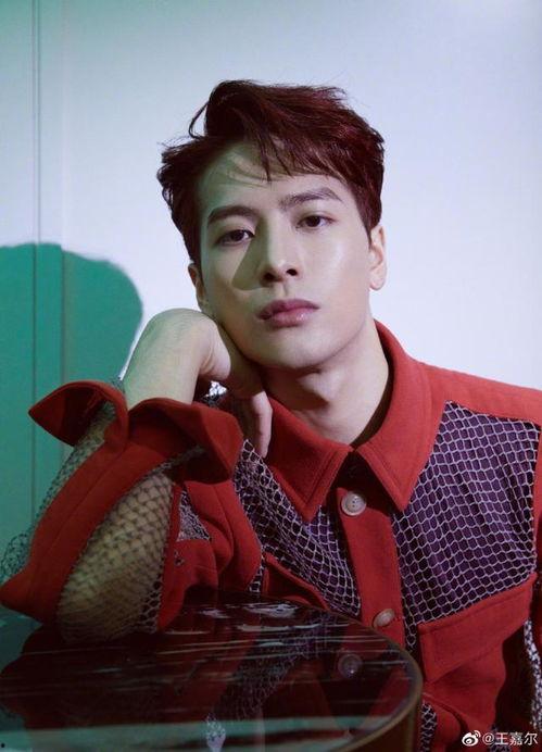 吃瓜娱乐圈王嘉尔是谁呀