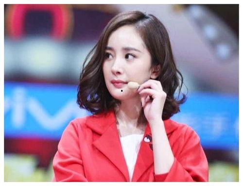 明星网红镜头有哪些,揭秘他们的魅力瞬间