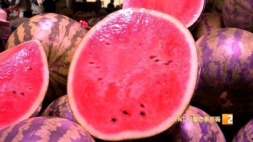 麒麟瓜价格今日行情西瓜,西瓜市场新宠儿价格走势解析