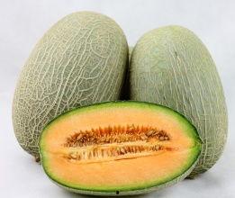 哈密瓜今日行情走势,今日走势解析，涨跌背后的市场动向