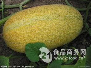 哈密瓜今日行情走势,今日走势解析，涨跌背后的市场动向