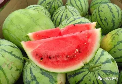 51热门今日吃瓜贴吧,盘点娱乐圈最新热点事件