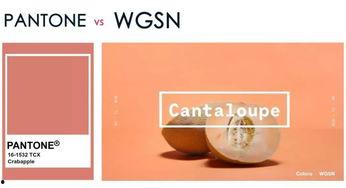 今日推荐颜色蜜瓜橙,夏日阳光下的色彩盛宴