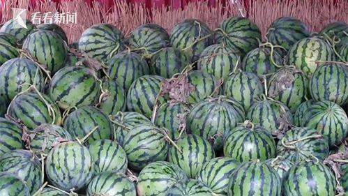 热门大瓜今日大瓜最新,揭秘娱乐圈最新重磅爆料！