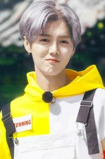 姓刘的明星网红男,网红男神的崛起之路