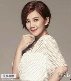 在广东的明星网红