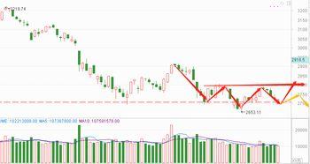 今日白瓜行情走势分析