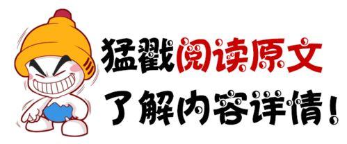 今日头条广州吃瓜,一场别开生面的“吃瓜”之旅